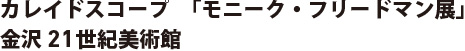 カレイドスコープ「モニーク・フリードマン展」　金沢21世紀美術館