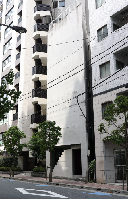 ▲幅約5.5m x 高さ約15mの外壁